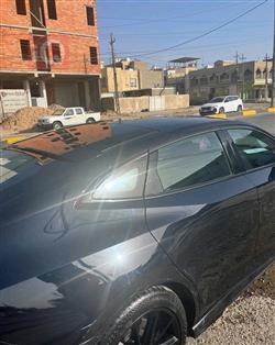 شانجان يوني في